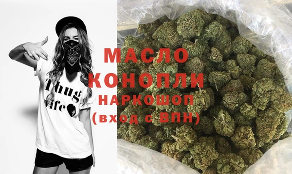 эйфоретик Вяземский