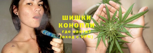 эйфоретик Вяземский